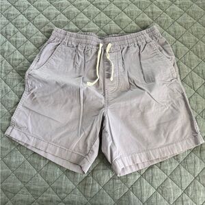 J. Crew Soft Purple Flat Front Shorts